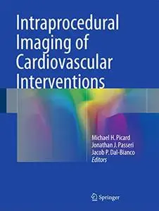 Intraprocedural Imaging of Cardiovascular Interventions (Repost)