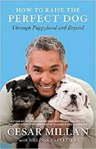 How to Raise the Perfect Dog: Through Puppyhood and Beyond