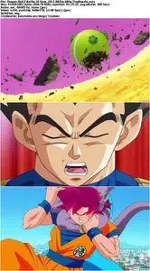 Dragon Ball Z: Battle Of Gods (2013) [Reuploaded]