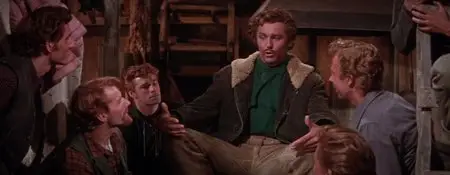 Seven Brides for Seven Brothers (1954)