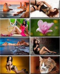 LIFEstyle News MiXture Images. Wallpapers Part (922)