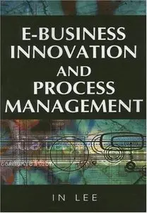 E-Business Innovation and Process Management