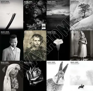 Black & White Photography - 2015 Full Year Issues Collection