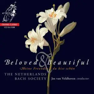 The Netherlands Bach Society, Jos van Veldhoven - Beloved & Beautiful: Bohm, J.C. Bach, Schutz, J.S. Bach (2008)