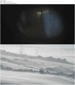 A Moon of Nickel and Ice (2017)