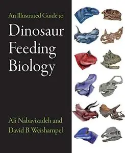 An Illustrated Guide to Dinosaur Feeding Biology