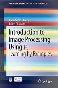 Introduction to Image Processing Using R: Learning by Examples (Repost)