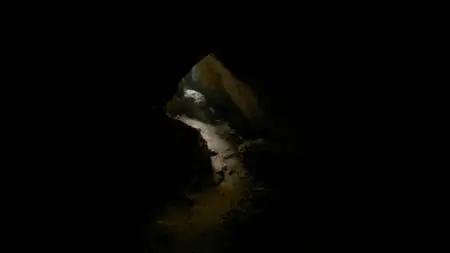 PBS NOVA - Human: Neanderthal Encounters (2025)