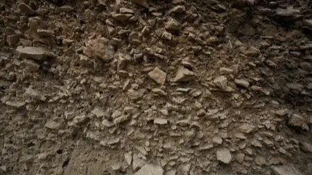 PBS NOVA - Human: Neanderthal Encounters (2025)