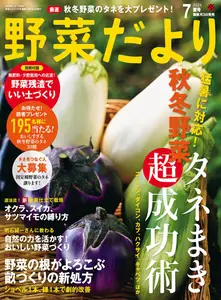 野菜だより - July 2024