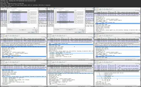 Wireshark Essential Training [Repost]