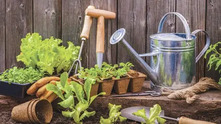 Gardening and Herb Mastery: The Ultimate Guide to Success