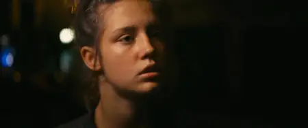 Blue Is the Warmest Color (2013) [Criterion]