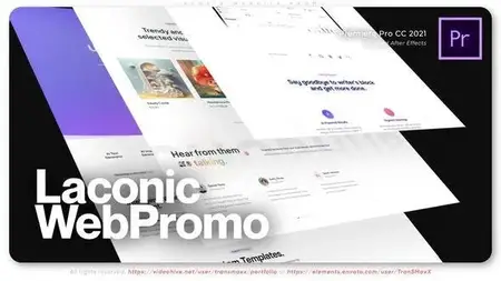 Laconic Website Promo 52216466