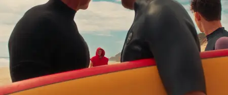 The Surfer (2024)