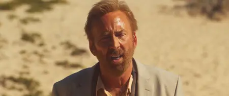 The Surfer (2024)