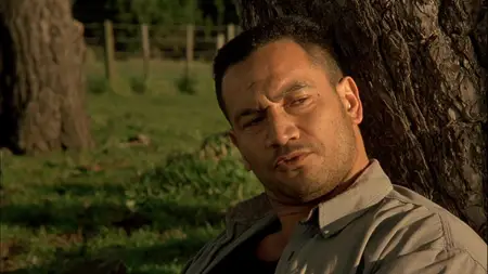 Once Were Warriors (1994)