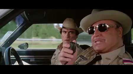 Smokey and the Bandit Part 3 (1983)