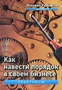 Михаил Рыбаков - Как навести порядок в своем бизнесе. Практикум