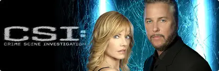 CSI S10E02 Ghost Town