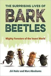 The Surprising Lives of Bark Beetles: Mighty Foresters of the Insect World