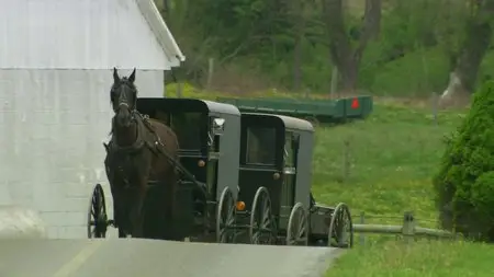 Amish: A Secret Life (2012)