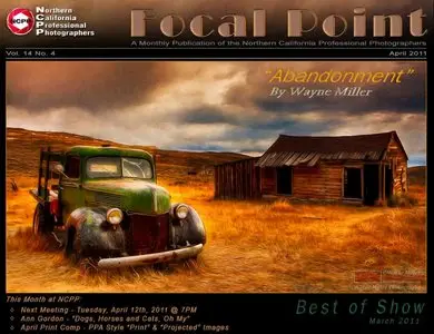 The Focal Point - April 2011