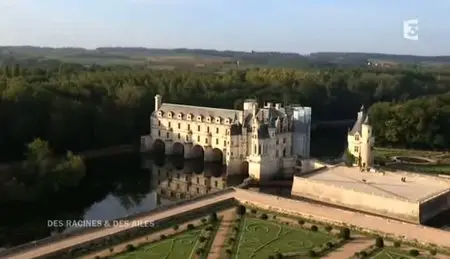 (Fr3) Des Racines et des Ailes : Les clefs de l'excellence (2011)