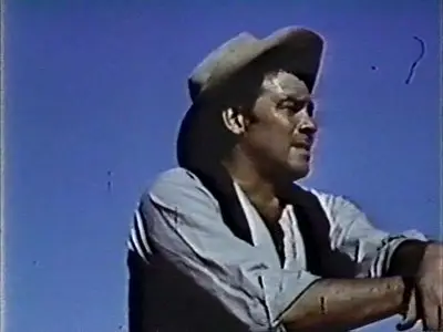 Ride a Wild Stud (1969)