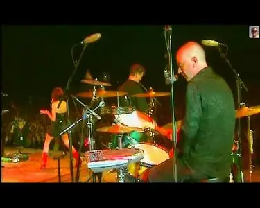 PJ Harvey - Live at Eurockéennes de Belfort (2004)