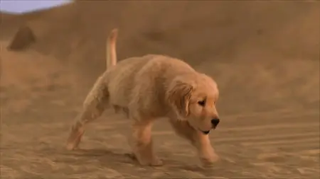 Treasure Buddies (2012)