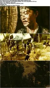 Ashes Of Time (1994) 2008 Redux