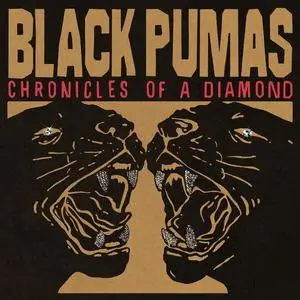 Black Pumas - Chronicles of a Diamond (2023)
