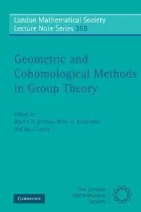 Geometric and Cohomological Methods in Group Theory (repost)