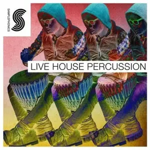 Samplephonics Live House Percussion MULTiFORMAT