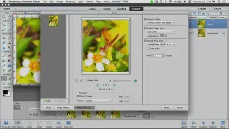Udemy - Photoshop Elements Made Easy For Photographers [repost]