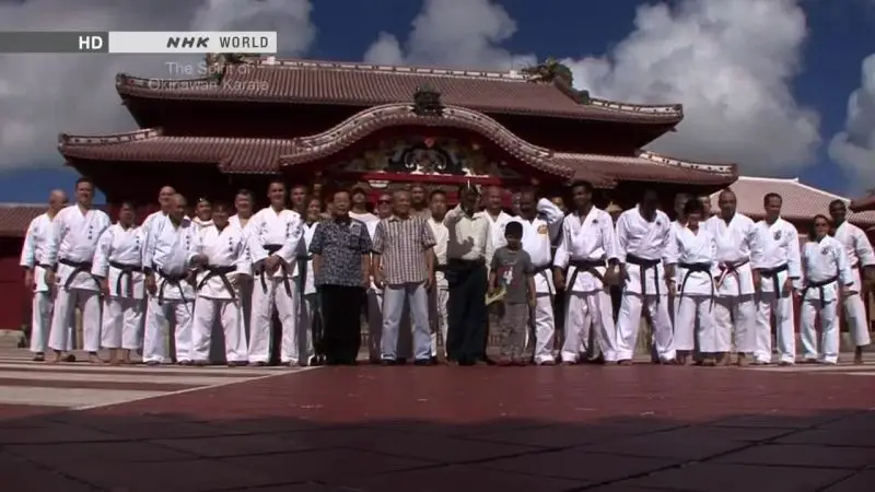 NHK - Tee: The Spirit of Okinawan Karate (2014)