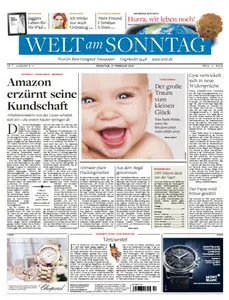 Die Welt am Sonntag 17 Februar2013