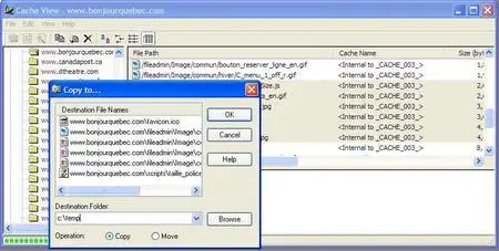 Portable Cache View 2.8.5.0 Professional (Thinstalled)