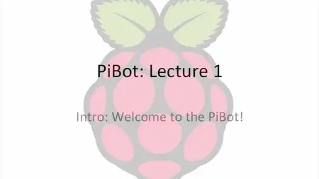 Udemy – PiBot: Build Your Own Raspberry Pi Powered Robot
