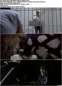 Manhunter (1986)