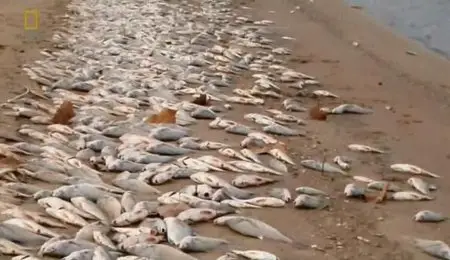 National Geographic - Omens of the Apocalypse (2012)