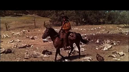 The Last Hunt (1956)