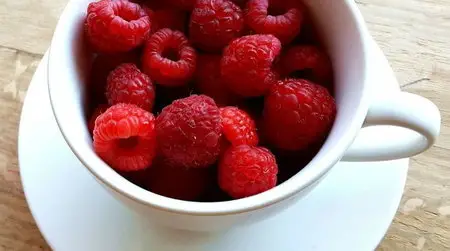 Udemy - Using Food as Medicine