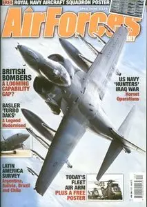 Air Forces Monthly 2006-04 (217)