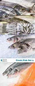 Photos - Fresh Fish Set 3