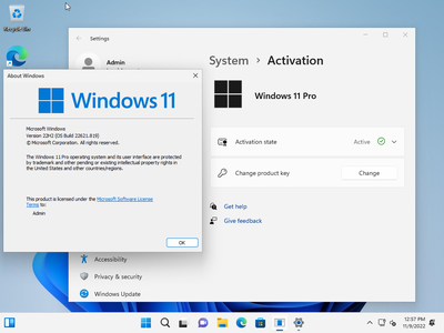 Windows 11 Pro 22H2 Build 22621.1194 (No TPM Required) Preactivated Multilingual