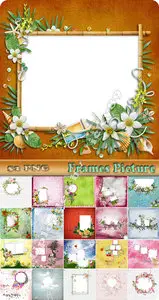 Frames Seasons Flowers and Brithdays