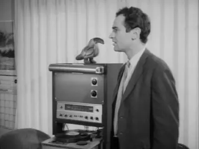 A Sweet Sickness (1968)