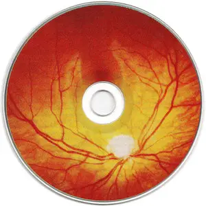 Lights Out Asia - Garmonia (2003)